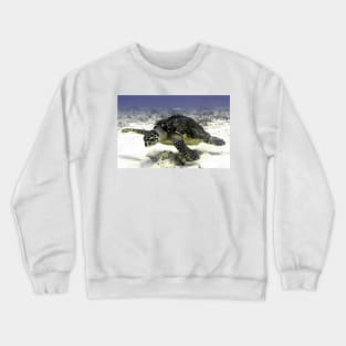 Caribbean Sea Turtle Crewneck Sweatshirt